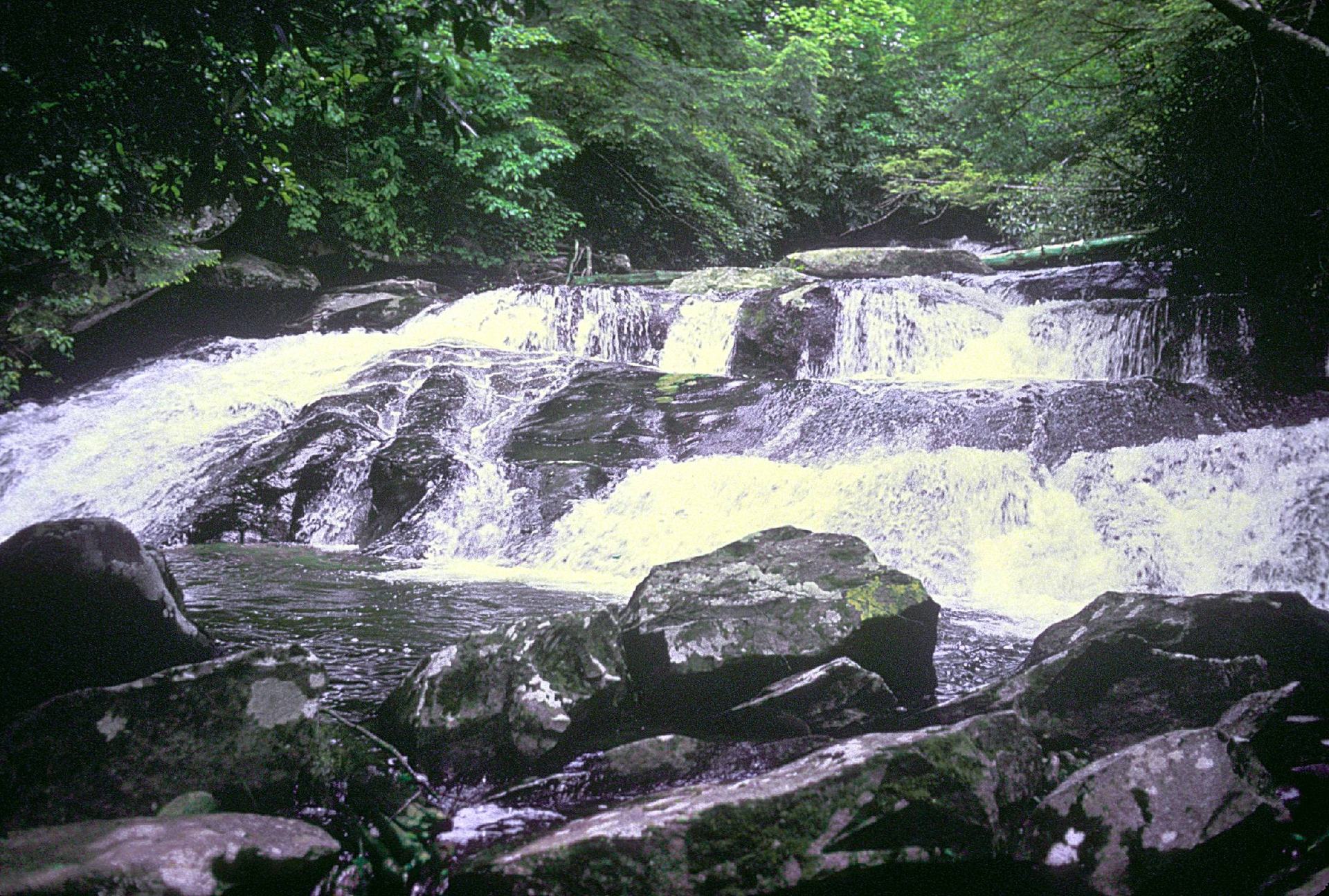 A broad cascade flows over dark rocks beneath green woodland in Great Smoky Mountains National Park.